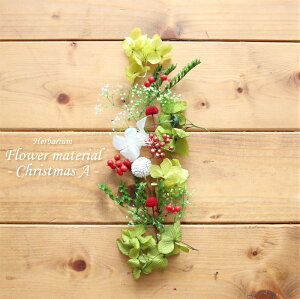 yn[oE Lbgzn[oE ԍ Zbg1{iNX}XAj IWi n[oE AW{ NX}X |bv Lbg X^[^[Lbg  S vU[uh hC