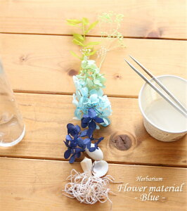 yn[oE Lbgzn[oE ԍ Zbg1{i[Cj IWi n[oE AW{ C u[ Lbg X^[^[Lbg  S vU[uh hCt[ a