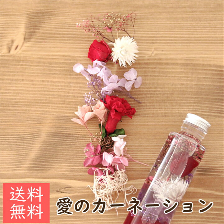 楽天市場 母の日 ハーバリウム 花材キット 1本分 愛のカーネーション プレミアム 花 母の日プレゼント ハーバリウム 植物標本 カーネーション ギフト 赤 かわいい おしゃれ オリジナル 手作り キット 送料無料 ハーバリウム花材店 Natural Moco
