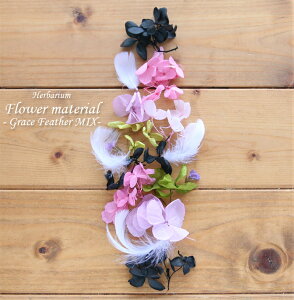 yn[oELbgz n[oE ԍރZbg 1{ iOCXtFU[E~bNXj Lbg  ubN IWi AW{ ̓  Lbg X^[^[Lbg  S