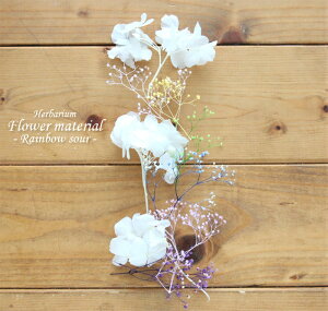 yn[oE Lbgzn[oE ԍ Zbg1{iC{[T[j C{[  T[ Lbg v[g IWi AW{  S vU[uh hCt