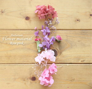 yn[oE Lbgzn[oE ԍ Zbg1{i[YsNj sN 킢 [Y o Lbg v[g IWi AW{  S vU[uh hCt