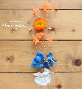 【ハーバリウム キット】ハーバリウム 花材 セット1本分(海と太陽) 夏 海 太陽 サマー 手作りキット プレゼント オリジナル 植物標本 手作り 初心者 プリザーブド ドライフラワー 誕生日