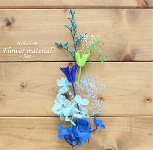 yn[oE Lbgzn[oE ԍ Zbg1{iCj  C  O[  u[  T}[ Lbg v[g IWi AW{  S vU[uh hCt