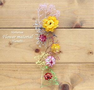 �y�n�[�o���E�� �L�b�g�z�n�[�o���E�� �ԍ� �Z�b�g1�{���i�ԉ΁j �� �J���t�� �ċx�� �u���[ �� �T�}�[ ����L�b�g �v���[���g �I���W�i�� �A���W�{ ���� ���S�� �v���U�[�u�h �h���C�t