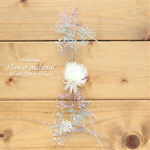 �y�n�[�o���E�� �L�b�g�z�n�[�o���E�� �ԍ� �Z�b�g1�{���i�V���o�[�f�[�W�[�E�z���C�g�j �z���C�g �V���v�� ����L�b�g �v���[���g �I���W�i�� �A���W�{ ���� ���S�� �v���U�[�u�h �h