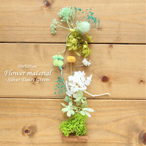 �y�n�[�o���E�� �L�b�g�z�n�[�o���E�� �ԍ� �Z�b�g1�{���i�V���o�[�f�[�W�[�E�O���[���j �� �V���v�� �u�₩ ����L�b�g �v���[���g �I���W�i�� �A���W�{ ���� ���S�� �v���U�[�u�h �h