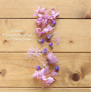 �y�n�[�o���E�� �L�b�g�z�n�[�o���E�� �ԍ� �Z�b�g1�{���i�V���o�[�f�[�W�[�E�O���[�v�j �� �G���K���g ����L�b�g �v���[���g �I���W�i�� �A���W�{ ���� ���S�� �v���U�[�u�h �h���C