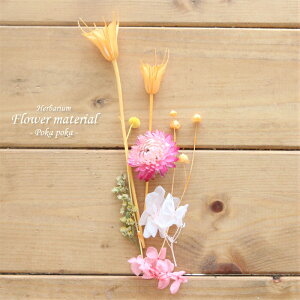 yn[oE Lbgzn[oE ԍ Zbg1{iۂۂzCj t  t[ O[ A  R Lbg v[g IWi AW{  S vU[uh 