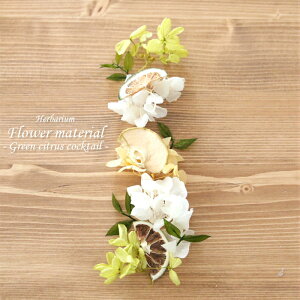 �y�n�[�o���E�� �L�b�g�z�n�[�o���E�� �ԍ� �Z�b�g1�{���i�O���[���V�g���X�J�N�e���j �� �T���[ �J�N�e�� �I�����W �A���W�{ ���k �t���[�c �L�b�g ���� ���S�� �v���U�[�u�h �h���C�t��