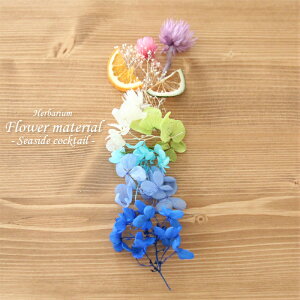 yn[oE Lbgzn[oE ԍ Zbg1{iV[TChJNej C  C Jt AW{ k t[c IW Lbg  S vU[uh hCt[ 