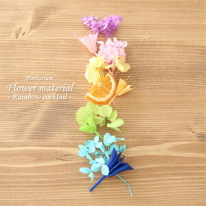 �y�n�[�o���E�� �L�b�g�z�n�[�o���E�� �ԍ� �Z�b�g1�{���i���C���{�[�J�N�e���j �� �I�����W �� �T�}�[ �J�N�e�� �A���W�{ ���k �t���[�c �L�b�g ���� ���S�� �v���U�[�u�h �h���C�t����