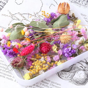 hCt[ lߍ킹 ԍރZbg MIX iX^[`Xj@jQ g ݑ ؂̎ X^[`X ~U OX ԍރLbg ԍ W ANZT[  f