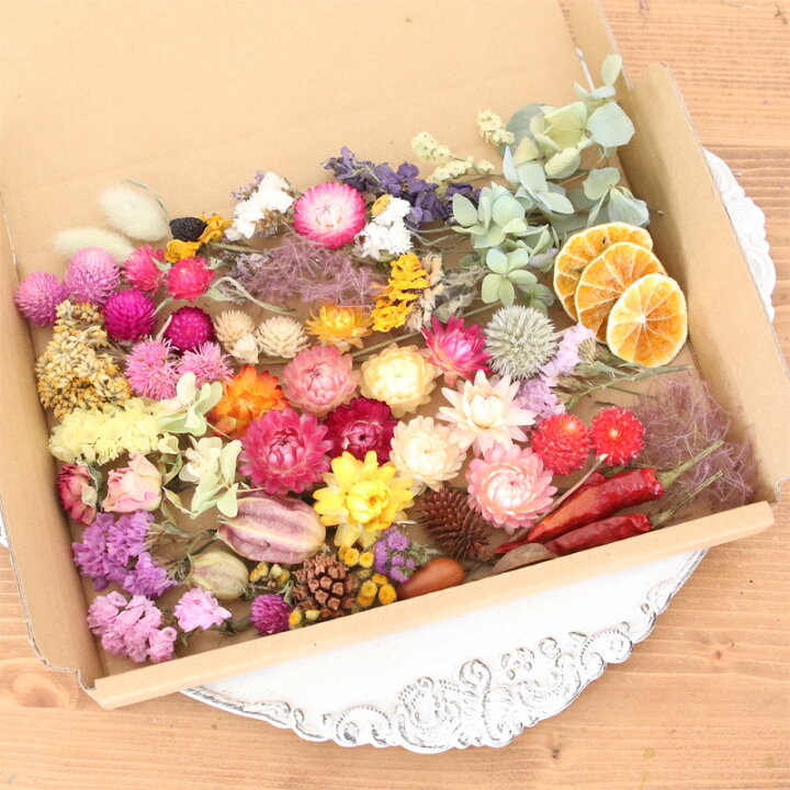 楽天市場】35種類 ドライフラワー バラエティセット 花材 【A5】| 結婚  