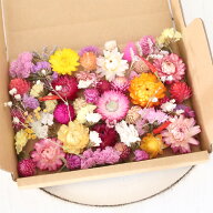 暖色系 ドライフラワー 花材セット 詰め合わせ 【A6】｜ 花材 キット ピンク イエロー ヘリクリサム 千日…