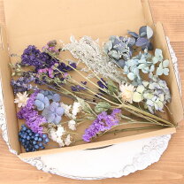 楽天市場】パープル 紫（ドライフラワー｜花・観葉植物）：花  