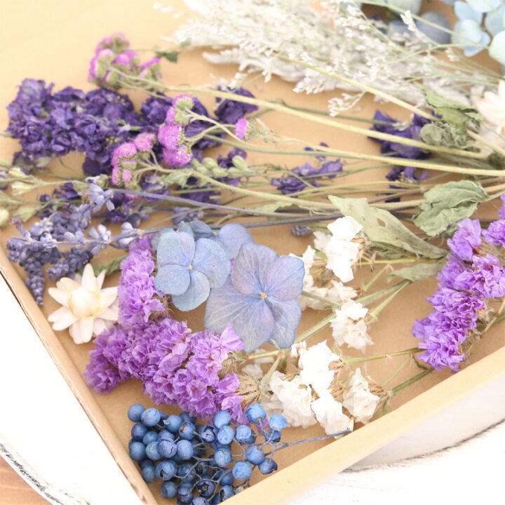 楽天市場】ブルー＆パープル系ドライフラワー 花材 セット 【A5  