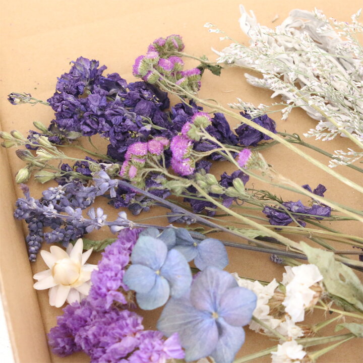 楽天市場】ブルー＆パープル系ドライフラワー 花材 セット 【A5 