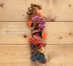 �n�[�o���E�� �ԍރZ�b�g 1�{�� �i�n���E�B�� Party�j