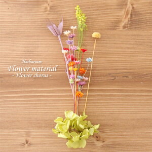 n[oE ԍރZbg1{ iԂ̑升j