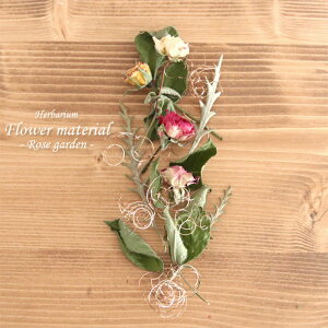 �n�[�o���E�� �ԍރZ�b�g1�{�� �i���[�Y�K�[�f���j