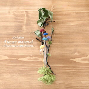 n[oE ԍރZbg1{ isvcȃLmRj