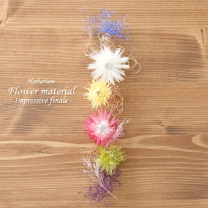 n[oE ԍރZbg1{ ĩtBi[j