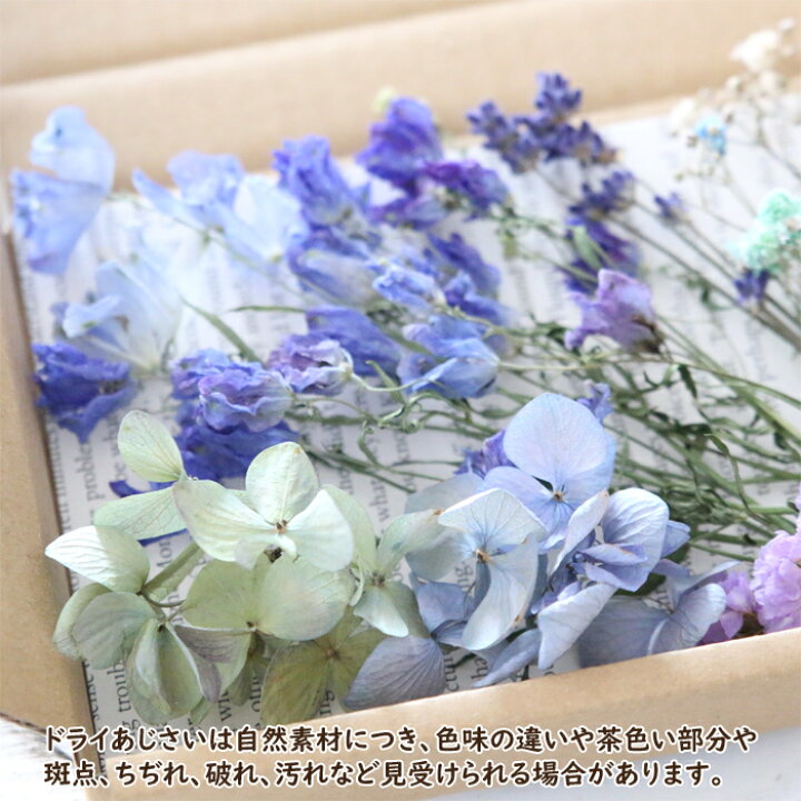 楽天市場】ドライフラワー 詰め合わせ 花材セット MIX  