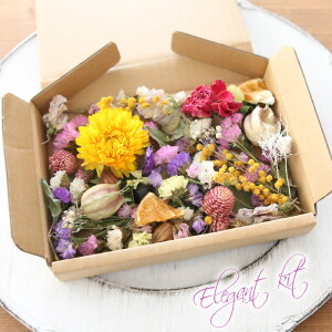 hCt[ lߍ킹 ԍ Zbg i wNTYE j y n[oE W A} nhCh Lh TVF ̓ Y z