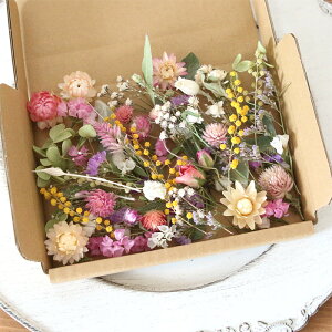 hCt[ ԍރZbg lߍ킹 iIWiFEpXenj y n[oE W A} nhCh Lh TVF ̓ Y z