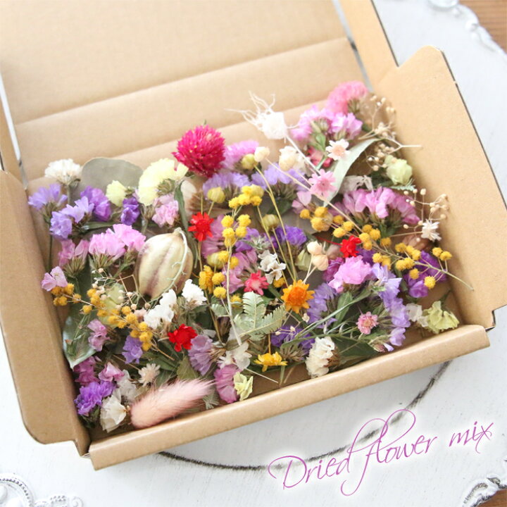 楽天市場】ドライフラワー 詰め合わせ 花材セット MIX （スターチス他  