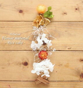 yn[oE Lbgzn[oE ԍ Zbg1{iRice cake ݁j  j[C[ VN IWi n[oE AW{ GKg Lbg X^[^[Lbg  S 