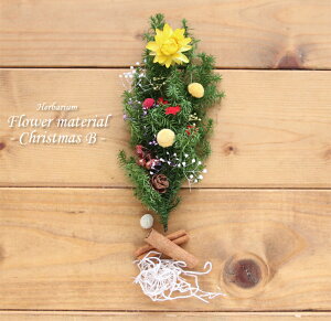 yn[oE Lbgzn[oE ԍ Zbg1{iNX}XBj NX}X NX}Xc[ IWi n[oE AW{ |bv Lbg X^[^[Lbg  S v