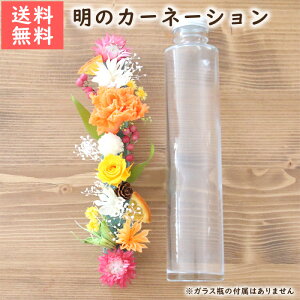 ̓ n[oE ԍރLbg ĩJ[l[VEv~Aj ԍރZbg J[l[V IW CG[ Jt 킢 Lbg  S vU[uht[ v