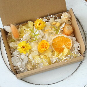 tbVIW ԍދlߍ킹 Lbg Zbg@y@hCt[ vU[uht[ IW AWTC z o [Y wNT g ̓ hV̓ ̓ v[