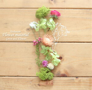 yn[oE Lbgzn[oE ԍ Zbg1{iO[ԁj IWi n[oE AW{ GKg Lbg X^[^[Lbg  S vU[uh hCt