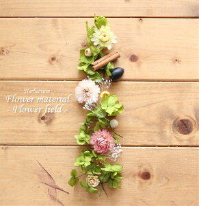 yn[oE Lbgzn[oE ԍ Zbg1{iɍ炭ԁj IWi n[oE AW{ GKg Lbg X^[^[Lbg  S vU[uh hCt