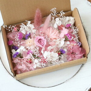 Xgx[~bNX ԍދlߍ킹 Lbg Zbg@y@hCt[ vU[uht[ sN AWTC z o [Y wNT X^[`X ̓ hV̓ ̓ v