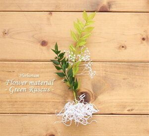 yn[oE Lbgzn[oE ԍ Zbg1{iXJXj O[ Vv IWi n[oE AW{ X^[^[Lbg  S vU[uh av[