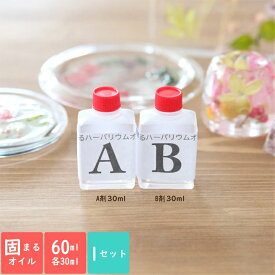 固まるハーバリウムオイル60ml （A剤30ml・B剤30ml） [ ハーバリウム ハンドメイド 固まるオイル シリコン シリコーン オイル 常温硬化 ]