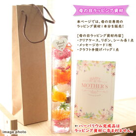 楽天市場 郵便局 母の日プレゼントの通販