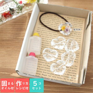 ł܂ICpt AN wAS Lbg in[gj y5_Zbgz [ n[oE W p[c y x[X e  NA f nhCh ANZT[G 