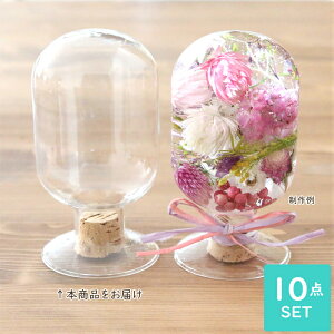 y10_Zbgz RNtEKXEh{g iSj [ n[oE NX}X c[ ł܂IC ]