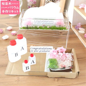 bZ[WV[t y  z ł܂n[oE eBbVP[X Lbg yԍށ}jAtz i   Ԍ  w AE ̓  ]E  j i AN