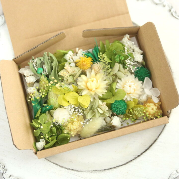 楽天市場】緑系 ドライフラワー プリザーブドフラワー 花材詰め合わせ  