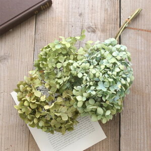 hCt[ z st 3{Zbg 30cmO ԍ Y _Ƃ Y  AWTC O[ 