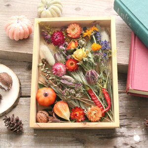 hCt[ nEB ԍ Zbg lߍ킹 yA5z v[g nhCh  f ޗ n[oE [X ub^ibc t[AWg Mtg 蕨 Cxg 