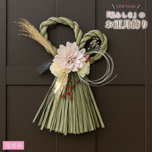 ߓ  ݃J[ XO[ yiz  _ a_ i`   hA ߏ 킢 [X CeA  AWg VN }t 