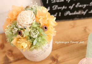 h[^ vU[uht[ AWTC |bgiCG[×O[j | ۂ ܂ h[ hCt[ i` 킢  fUC IWi a v[g ̓ 