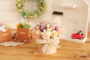 h[^ t[AWg CgsN yiz | ۂ ܂ h[ hCt[ i` 킢  fUC IWi a v[g ̓ Mtg 蕨